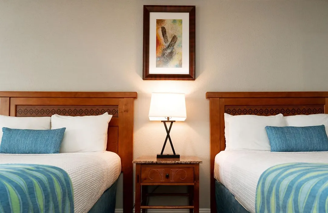 Alamo Inn&Suites - Convention Center-1