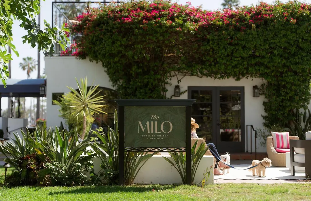 The Milo-1