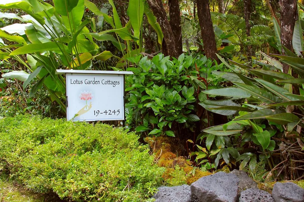 Lotus Garden Cottages-1