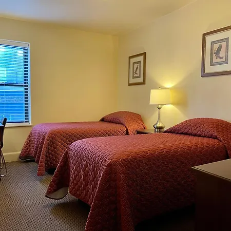 Oasis Guest House-3