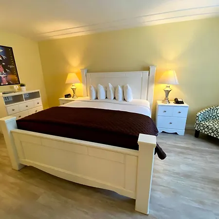Hollywood Celebrity Hotel-3