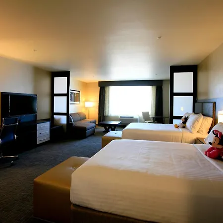 Holiday Inn Express & Suites Anaheim Resort Area By Ihg-3