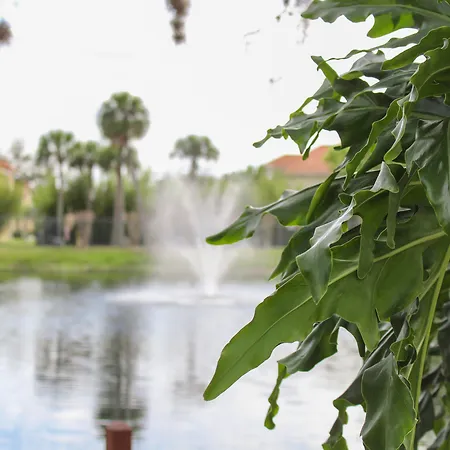 Hilton Vacation Club Polynesian Isles Kissimmee-2
