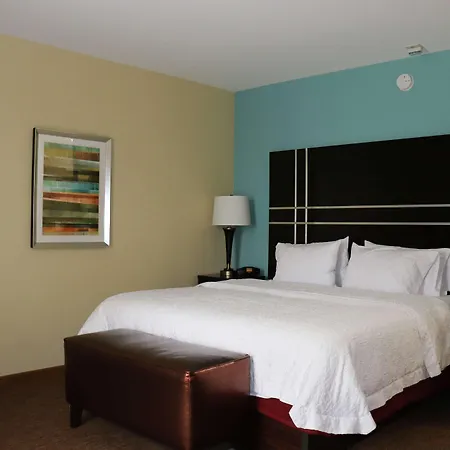 Hampton Inn Austin Oak Hill-3