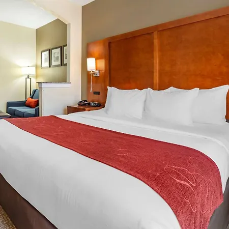 Comfort Suites Newark - Harrison-3
