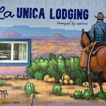 La Unica-2