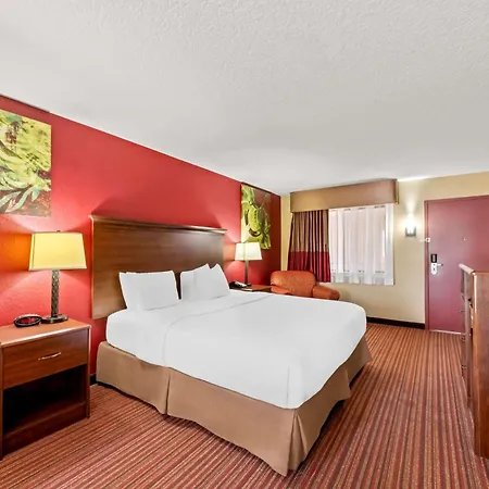 Surestay Plus By Best Western San Antonio Fiesta Inn-2