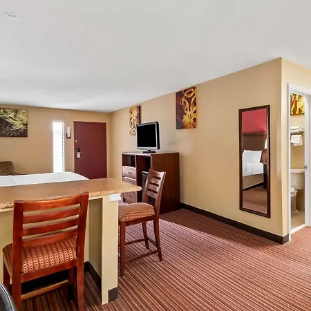 Surestay Plus By Best Western San Antonio Fiesta Inn-3
