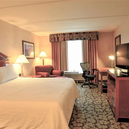 Acp Hotel Houston Westchase, Mod Collection By Sonesta-2