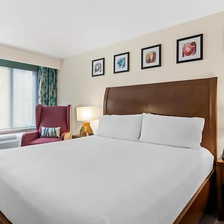 Hilton Garden Inn Chicago Downtown Riverwalk-3