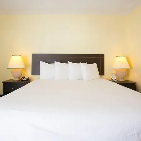 The Hollywood Gateway Inn-2