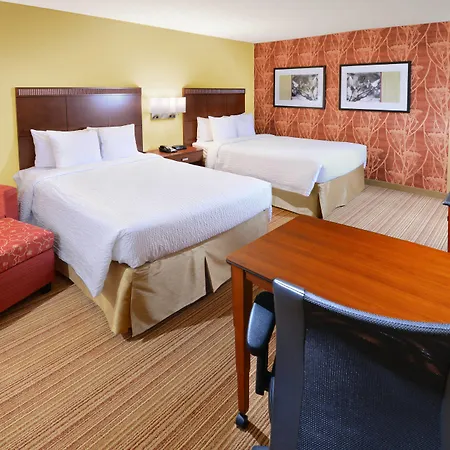 Courtyard By Marriott Dallas Plano In Legacy Park-3