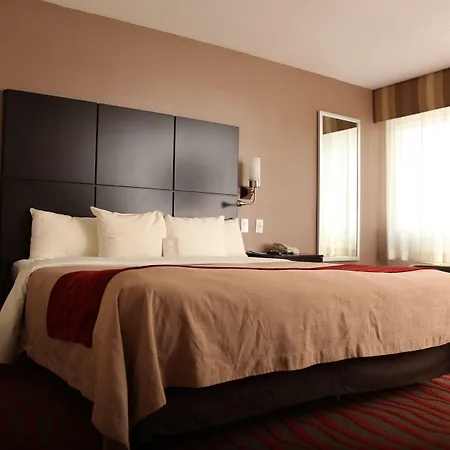 Comfort Inn Los Angeles Near Hollywood-2