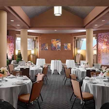 Hilton Arlington-3