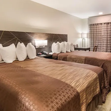 Quality Inn & Suites Dallas-Cityplace-2