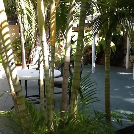 Banana Bay Resort (Adults Only)-2