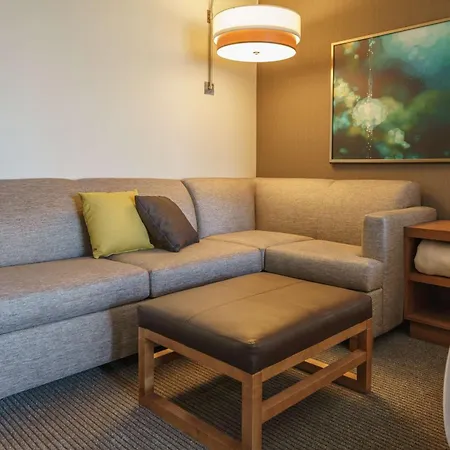 Hyatt Place Houston Galleria-2