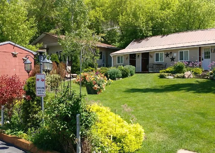 Alpaca Inn, The