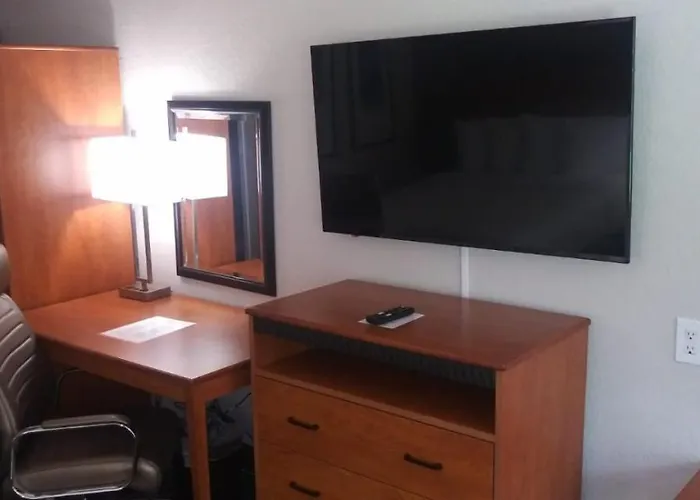 Surestay Plus Hotel By Best Western Clearwater Central
