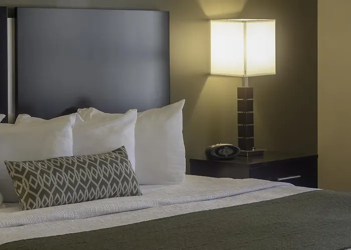 Best Western Plus University Inn Steubenville