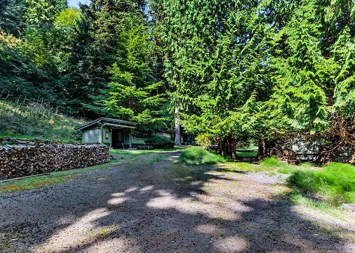 Tall Cedars Cabin By The Water