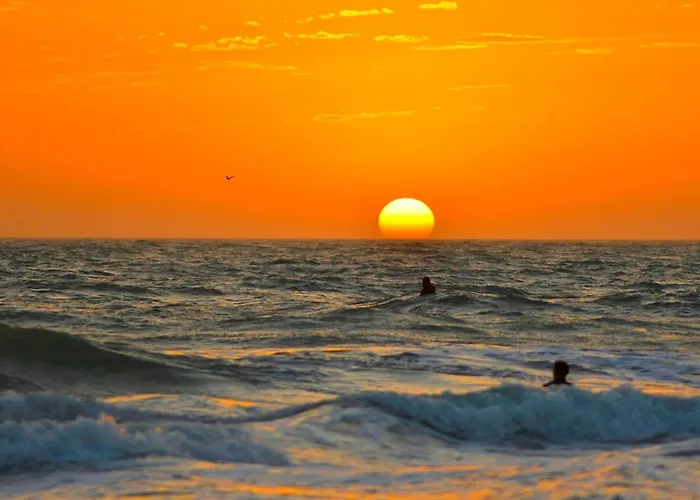 Anna Maria Island Beach Palms 7A