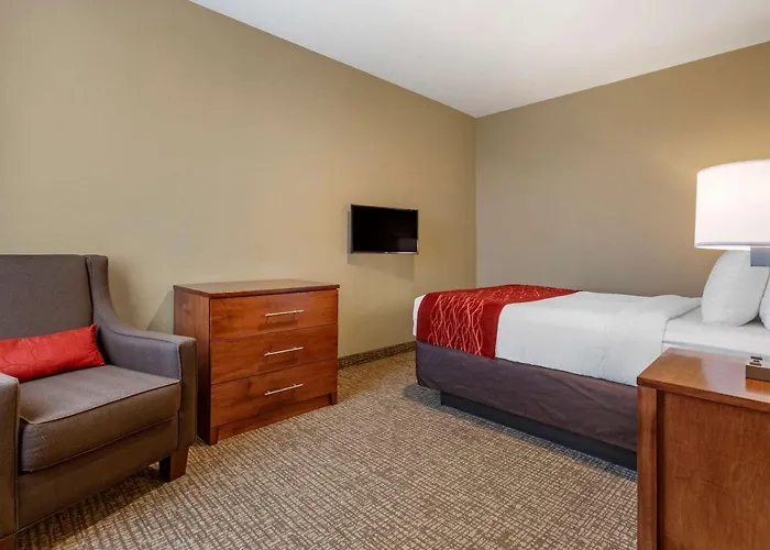 Comfort Inn & Suites Near Mt Rushmore