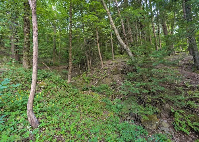 Cozy Stockbridge Cabin - Walk To Beach & Lake!