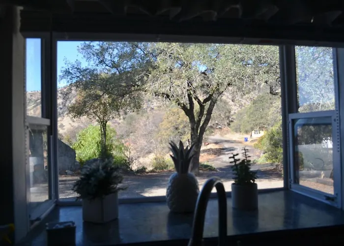 Shady Knoll