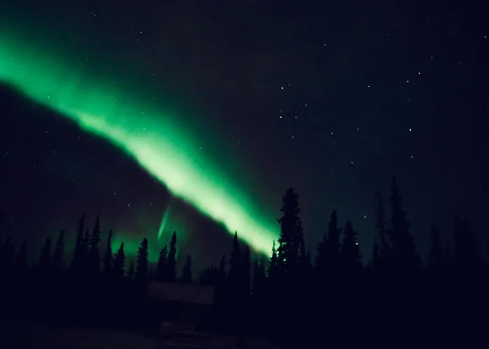 Denali Wild Stay - Moose Cabin, Free Wifi, 2 Private Bedrooms, Sleep 6