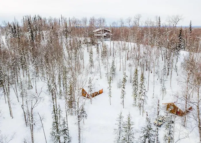 Spruce Cabin