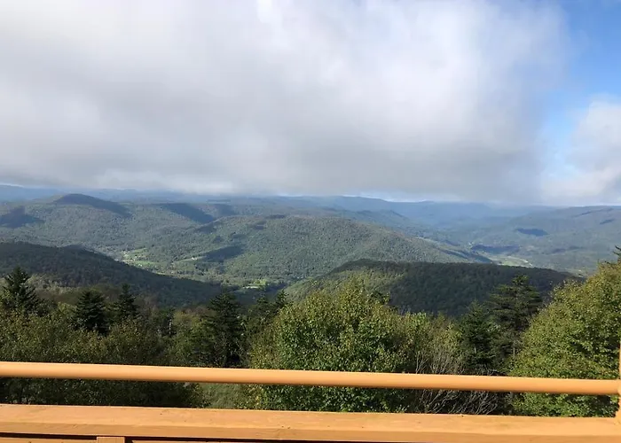 301 D Summit Dr. , Snowshoe Mountains, Wv 26209