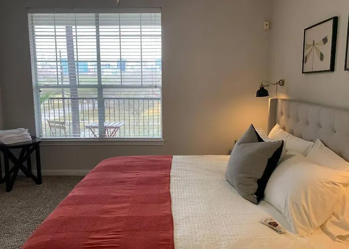 Newly Furnished 1Br Apartment W/ Hermann Park View