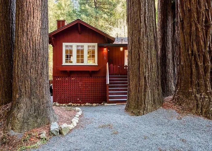 Redwood Retreat! Redwoods! Walk To River!! Hot Tub!! Bbq! Central Air!!