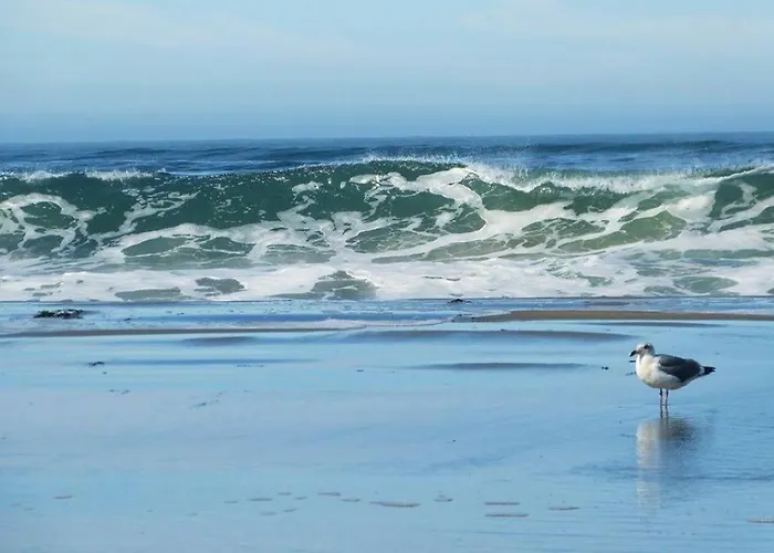 Breaking Waves! On The Bluff! Amazing Views!! Bbq! Fast Wifi! Walk To Beach!!!