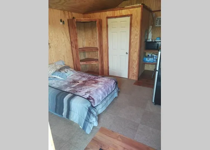 Tiny Cabin At The Donkeyranch