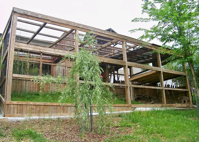 Private Pet Friendly Home Near Exotic Deer Farm Close To Pigeon Forge, Gatlinburg Tn
