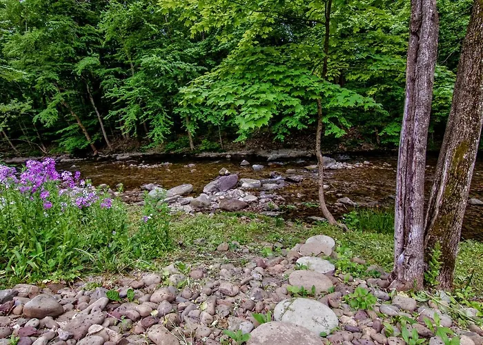 Cabin By The Creek With Private Creek Access