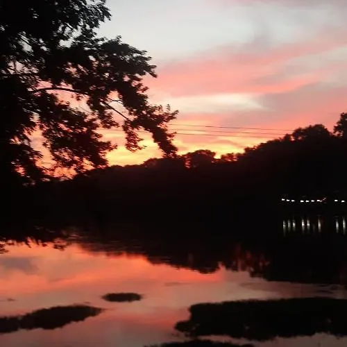Martin'S River Cabin