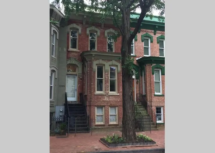 Lofty Dc Sanctuary