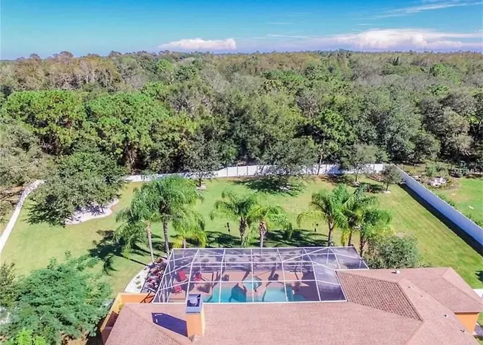 Secluded Paradise In Sunny Florida