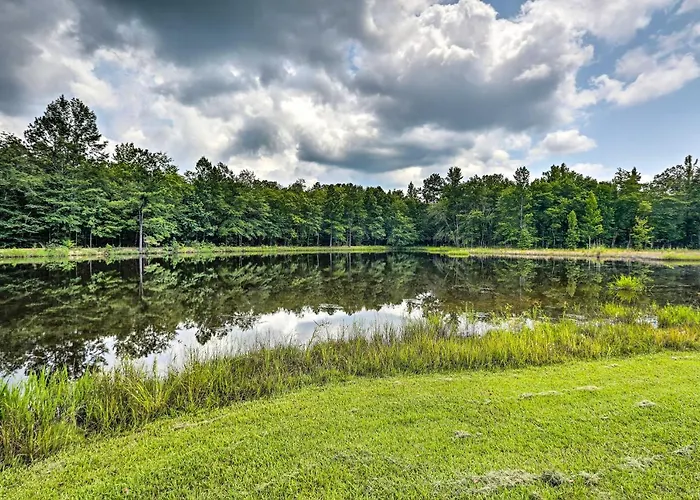 1950'S Serenity Pond Cabin W/ View: Peace & Quiet!