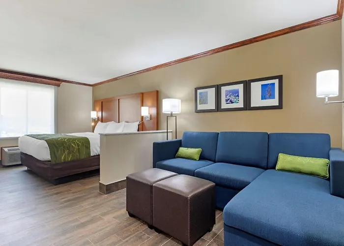 Comfort Suites West Monroe Near Ike Hamilton Expo Center