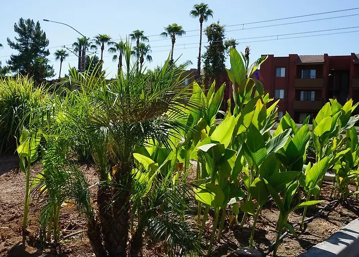 Mesa Oasis Inn & Motel