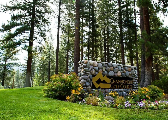 Peace Among The Pines