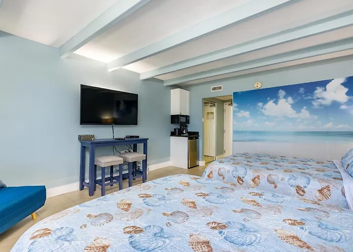 Come Stay Where The Dolphins Play!