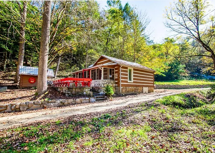 Beary Relaxing Cabin - Rustic With Outdoor Patio