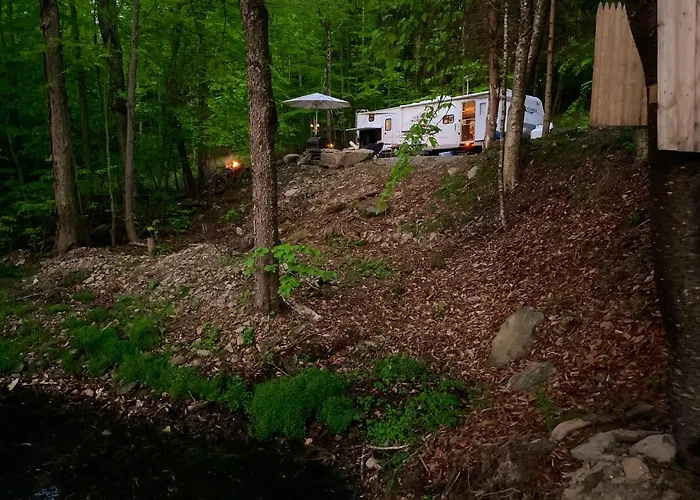 Rv Adventure Roscoe Pet Friendly