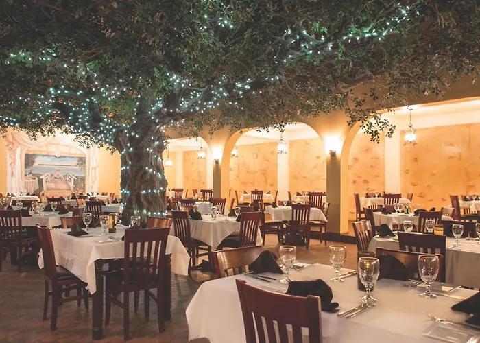 The Nest Egg