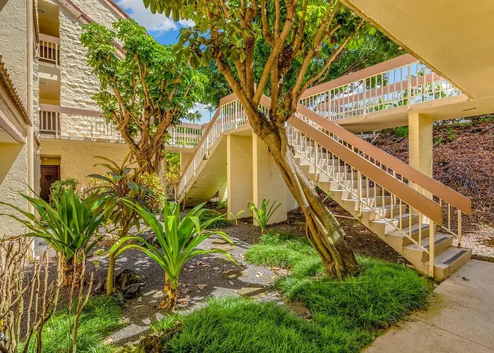 Newly Renovated Condo With Sup Paddle Boards And Golf Clubs Included